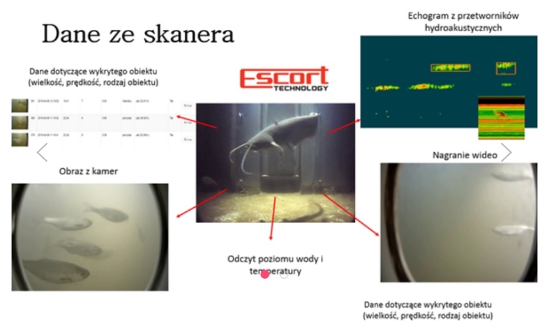 Hydroakustyczny System Monitorowania Ryb firmy ESCORT Technology [wideo] - GospodarkaMorska.pl